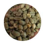 WILD GAYO ARABICA LUWAK. These coffee beans are processed naturally through the digestion of wild mongoose. Characteristic: • Smooth flavor • Low in acidity • Earthy and complex flavors. The flavor of this coffee is generally smooth.