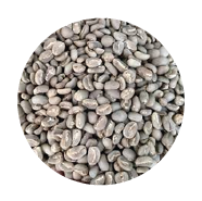 ARABICA MAMASA TORAJA Origin: Toraja, Sulawesi, Indonesia Characteristic: • Medium to full body • nutty, chocolate, and slightly earthy notes. • Balanced acidity, giving it a smooth and delicate flavor profile.